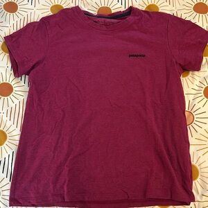 Patagonia Responsibili-tee